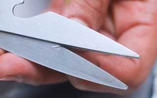 Как наточить ножницы в домашних условиях иголкой?