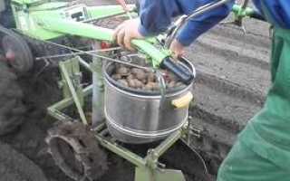 Как сделать картофелесажалку своими руками?
