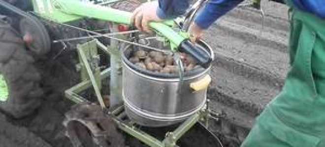 Как сделать картофелесажалку своими руками?