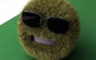 Как правильно заряжать автомобильный АКБ?