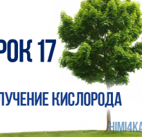 Получение кислорода в домашних условиях