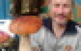 Как правильно насаживать топор на топорище?