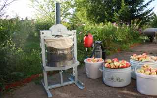 Как сделать соковыжималку своими руками?