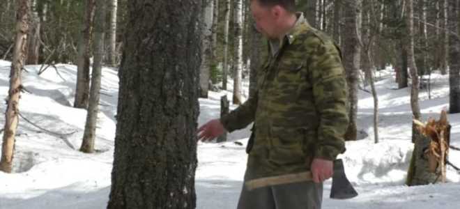 Как сделать ручку для топора своими руками?