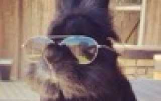 Как сделать пресс из домкрата своими руками?