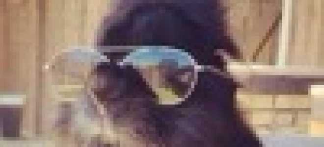 Как сделать пресс из домкрата своими руками?