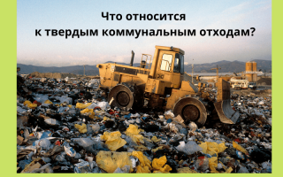 Твердые коммунальные отходы что это?