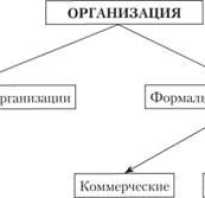 Тип организации что это такое?
