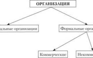 Тип организации что это такое?